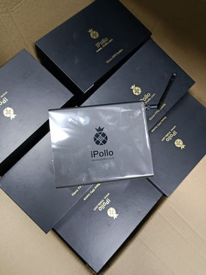 240W Basso Potere IPollo V1 Mini ETH Miner Hashrate 300Mh ETC Asic Miner