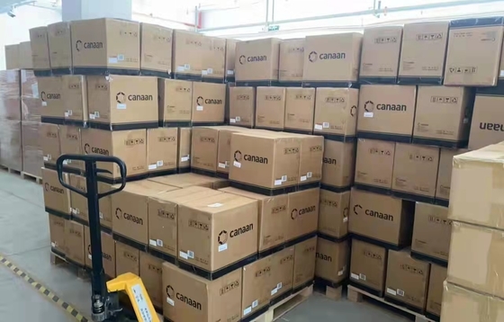 Algoritmo di Machine Canaan A1246 87T 85T 83T SHA 256 del minatore di Avalon 1246 95T 93T 90T BTC